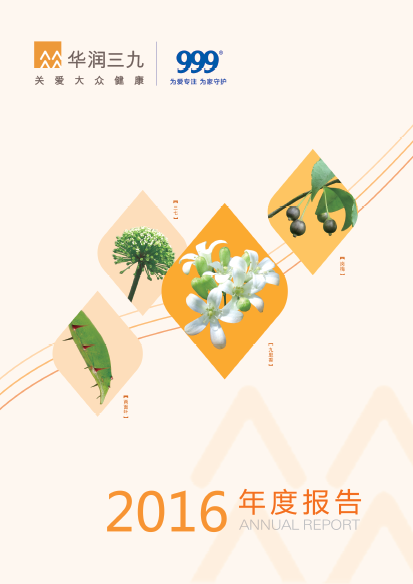 色情小说
：2016年年度报告