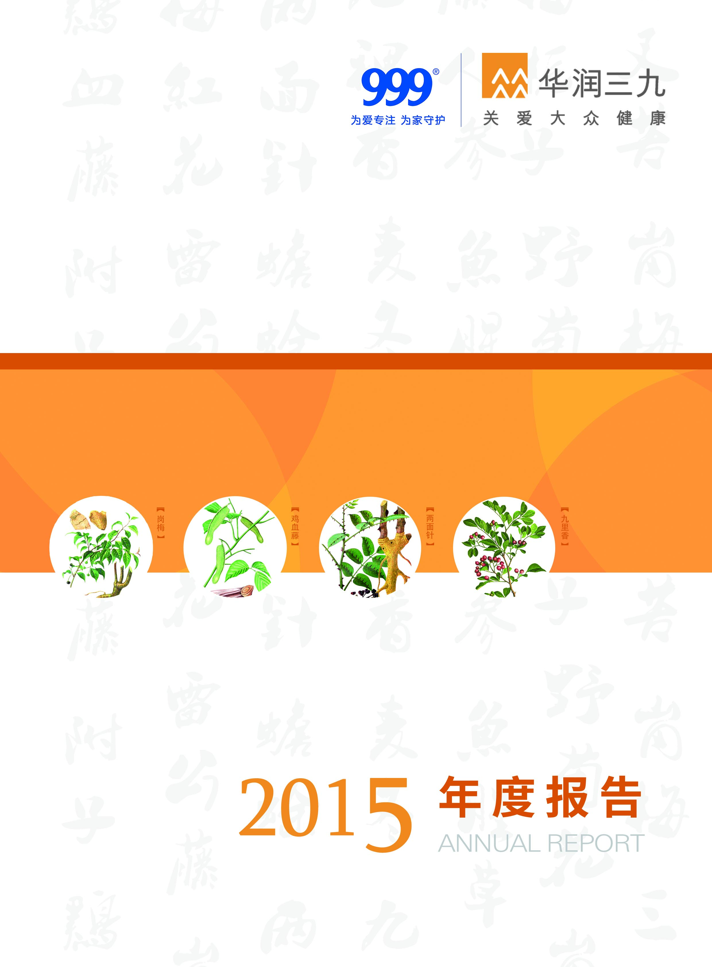 色情小说
：2015年年度报告