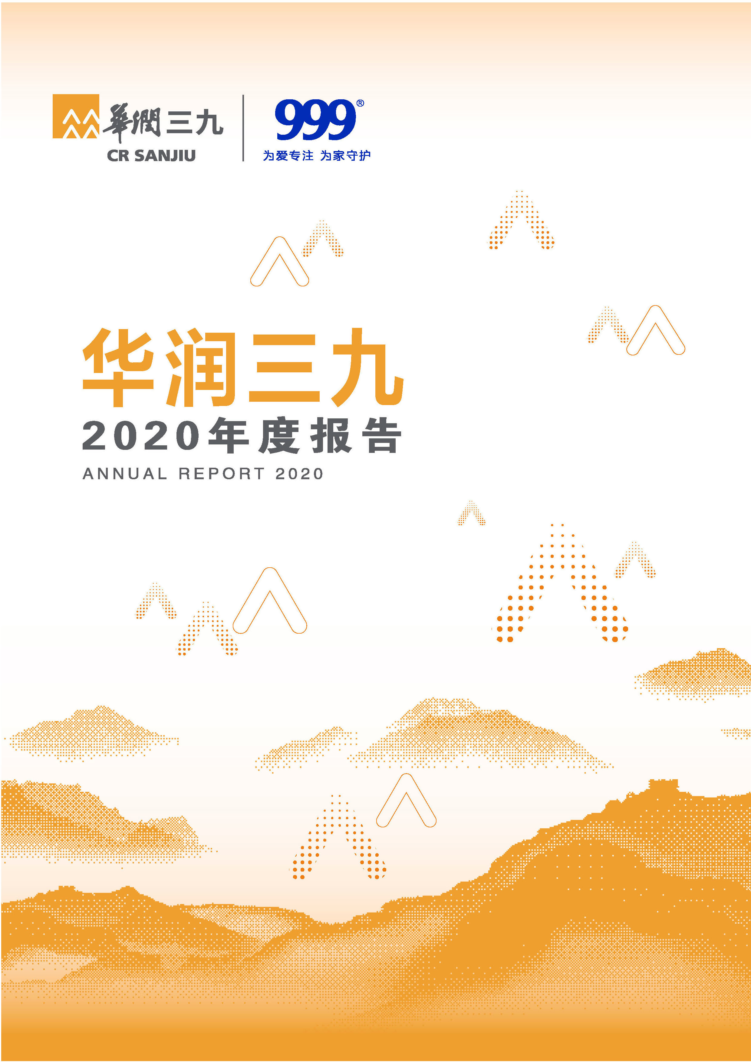 色情小说
：2020年年度报告