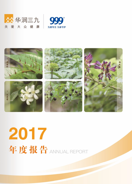 色情小说
：2017年年度报告